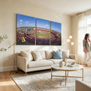 William Brice Stadium Wall Art Canvas Print – Stadium Crowd