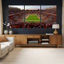 Tennessee Neyland Stadium Wall Art, Sports Arena Canvas by MyGreatCanvas | Canvas Wall Art Prints | Photo Prints & Wall Decor