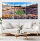 Tennessee Neyland Stadium Wall Art, Sports Arena Canvas by MyGreatCanvas | Canvas Wall Art Prints | Photo Prints & Wall Decor