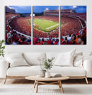 Dooley Stadium Wall Art, Sports Arena Canvas Print, Dooley by MyGreatCanvas | Canvas Wall Art Prints | Photo Prints & Wall Decor