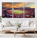 Dooley Stadium Wall Art, Sports Arena Canvas Print, Dooley by MyGreatCanvas | Canvas Wall Art Prints | Photo Prints & Wall Decor