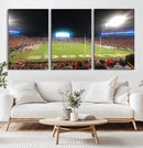 Dooley Stadium Wall Art, Sports Arena Panoramic Canvas by MyGreatCanvas | Canvas Wall Art Prints | Photo Prints & Wall Decor