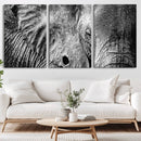 Wild Old Elephant Wall Art Canvas Print