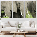 Wild Elephant Wall Art Canvas Print by MyGreatCanvas | Canvas Wall Art Prints | Photo Prints & Wall Decor