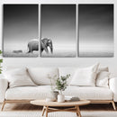Elephand and Zebra Wall Art Canvas Print, Modern Artwork