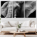 Big Elephant Close Up Wall Art Canvas Print