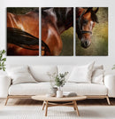 Majestic Brown Horse Wall Art Canvas Print – Framed