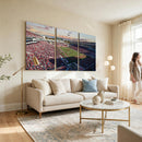 Donald W. Reynolds Razorback Stadium Wall Art Canvas Print –