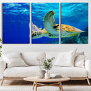 Sea Turtle Wall Art Canvas Print, Sea life in the Ocean Wall