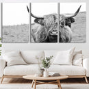 Newfoundland Cow Art Wall Art, Black White Cow Art Wall Art
