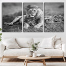 King Forest Lion Wall Art Canvas Print – Framed Majestic by MyGreatCanvas | Canvas Wall Art Prints | Photo Prints & Wall Decor