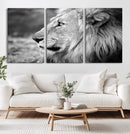 African Lion Wall Art Canvas Print – Majestic Wildlife
