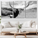 Cattle Wall Art Longhorn Cow Canvas Print