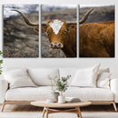 Texas Longhorn Canvas Wall Art - Longhorn Steer Canvas Wall