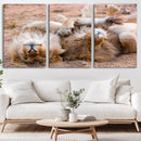 Lion Pair Wall Art Canvas Print – Framed Wildlife Scene with