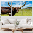 Longhorn and Cow Wall Art, Country Cow Wall Decor Canvas by MyGreatCanvas | Canvas Wall Art Prints | Photo Prints & Wall Decor