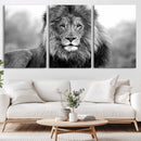Black and White Lion Canvas Wall Art – Animal Print Artwork