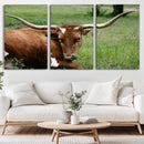 Longhorn Steer Canvas Wall Art – Rustic Nature Triptych