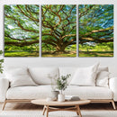 Majestic Oak Tree Wall Art – Serene Nature Canvas Print with
