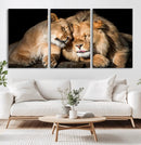 Lion and Lioness Wall Art Canvas Print – Framed African