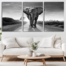 Black and White Elephant Wall Art Canvas Print