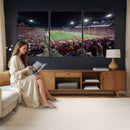 Washington-Grizzly Stadium Canvas Print, American Football