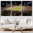 Washington-Grizzly Stadium Canvas Wall Art – Exciting Game