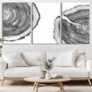 Abstract Large Tree Rings – Minimalist Black and White Wood