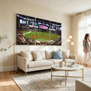 Arizona Diamondbacks Baseball Team Print - Phoenix Chase