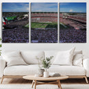 South Carolina Gamecocks Football Team Print - Columbia