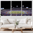 Buffalo Bills Wall Art - Buffalo Bills Stadium Canvas Print,