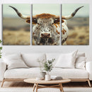 Texas Cow Longhorn Wall Art Canvas Print for Farm House Wall