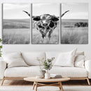 Texas Cow Longhorn Wall Art Canvas Print for Farm House Wall