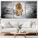 Jaguar Wall Art Canvas Print - Majestic Big Cat in Focused by MyGreatCanvas | Canvas Wall Art Prints | Photo Prints & Wall Decor