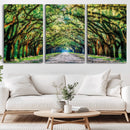 Serene Tree Tunnel Wall Art Canvas Print – Pathway Under by MyGreatCanvas | Canvas Wall Art Prints | Photo Prints & Wall Decor