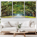 Wormsloe State Plantation Driveway Wall Art Canvas Print