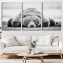 Resting Grizzly Bear Wall Art Canvas Print – Majestic Lazy by MyGreatCanvas | Canvas Wall Art Prints | Photo Prints & Wall Decor