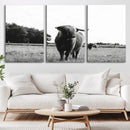 Black and White Highland Cow Wall Art Canvas Print | Rustic