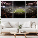 Eagles Field Stadium Wall Art - Philadelphia Eagles Football