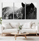 Black Horse in Snow Canvas Print | Winter Horse Wall Art |
