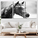 Horse Canvas Print - Winter Horse Snow Wall Art Canvas Print