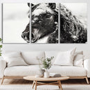 Framed Black and White Horse Wall Art | Ready to Hang and by MyGreatCanvas | Canvas Wall Art Prints | Photo Prints & Wall Decor