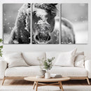 Black and White Horse Winter Wall Art | Ready to Hang and