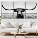 Longhorn Bull Canvas Print | Rustic Farmhouse Wall Art |