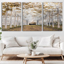 Forest Grove Wall Art | Serene Pathway Canvas Print | Ready