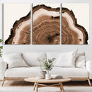 Rustic Wood Rings Wall Art | Nature-Inspired Tree Ring