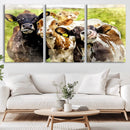 Curious Cows Farmhouse Wall Art | Ready to Hang and Framed