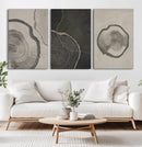 Modern Abstract Tree Ring Canvas Art Set | 3 Panel Large