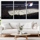 Honda Center California Anaheim Ducks Hockey Stadium Wall