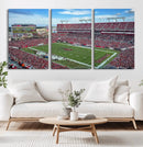 Florida Tampa Raymond James Stadium Wall Art Canvas Print -